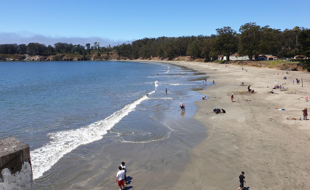 Photo de San Simeon Pier beach avec caillou fin clair de surface