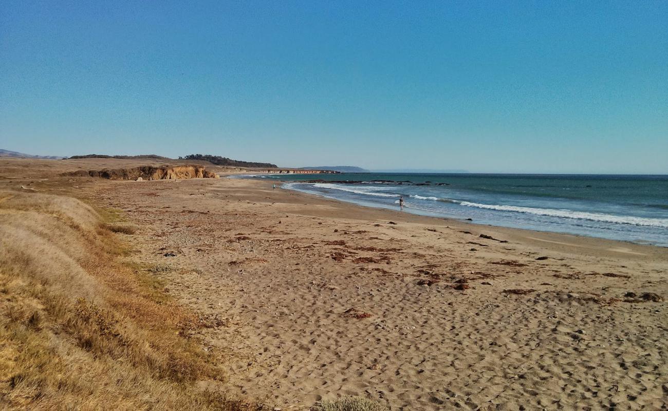 Photo de Arroyo Laguna Beach avec sable gris de surface