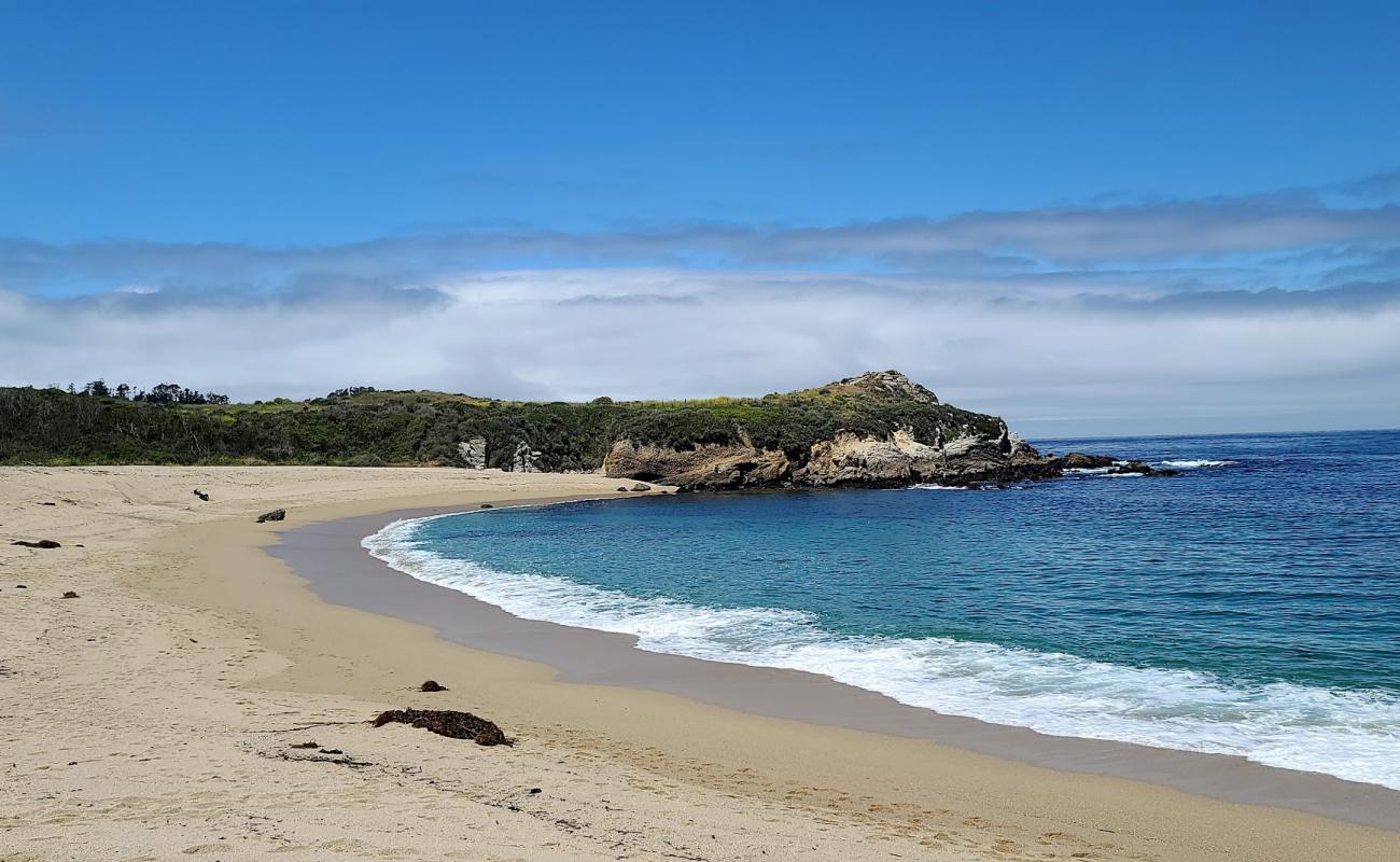 Photo de Monastery Beach avec sable beige de surface