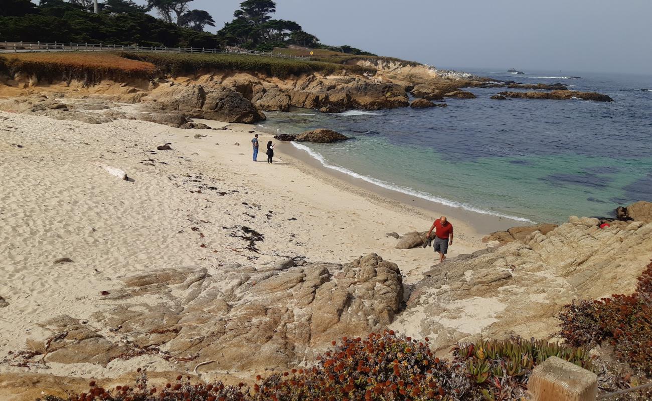 Photo de Fanshell Beach II avec sable lumineux de surface