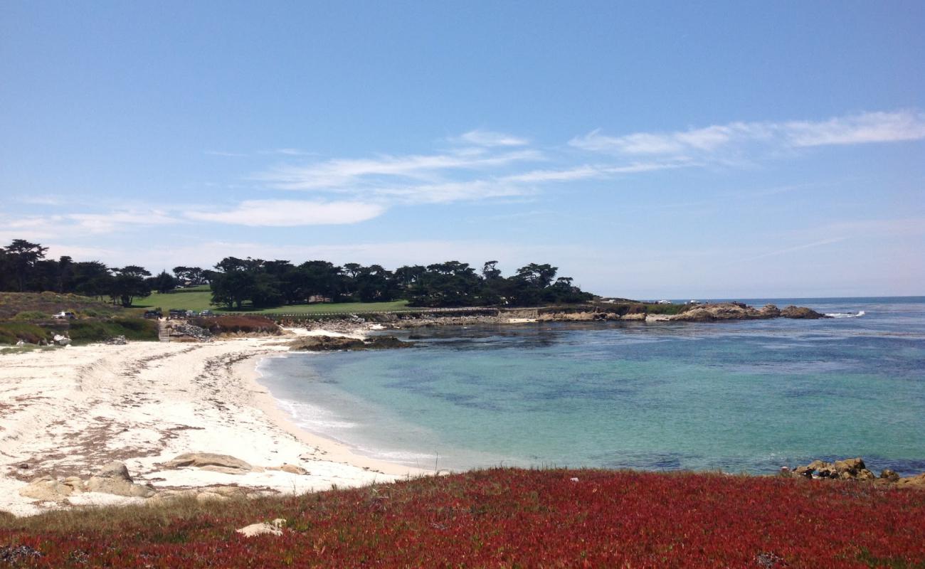 Photo de Fanshell Beach avec sable blanc de surface