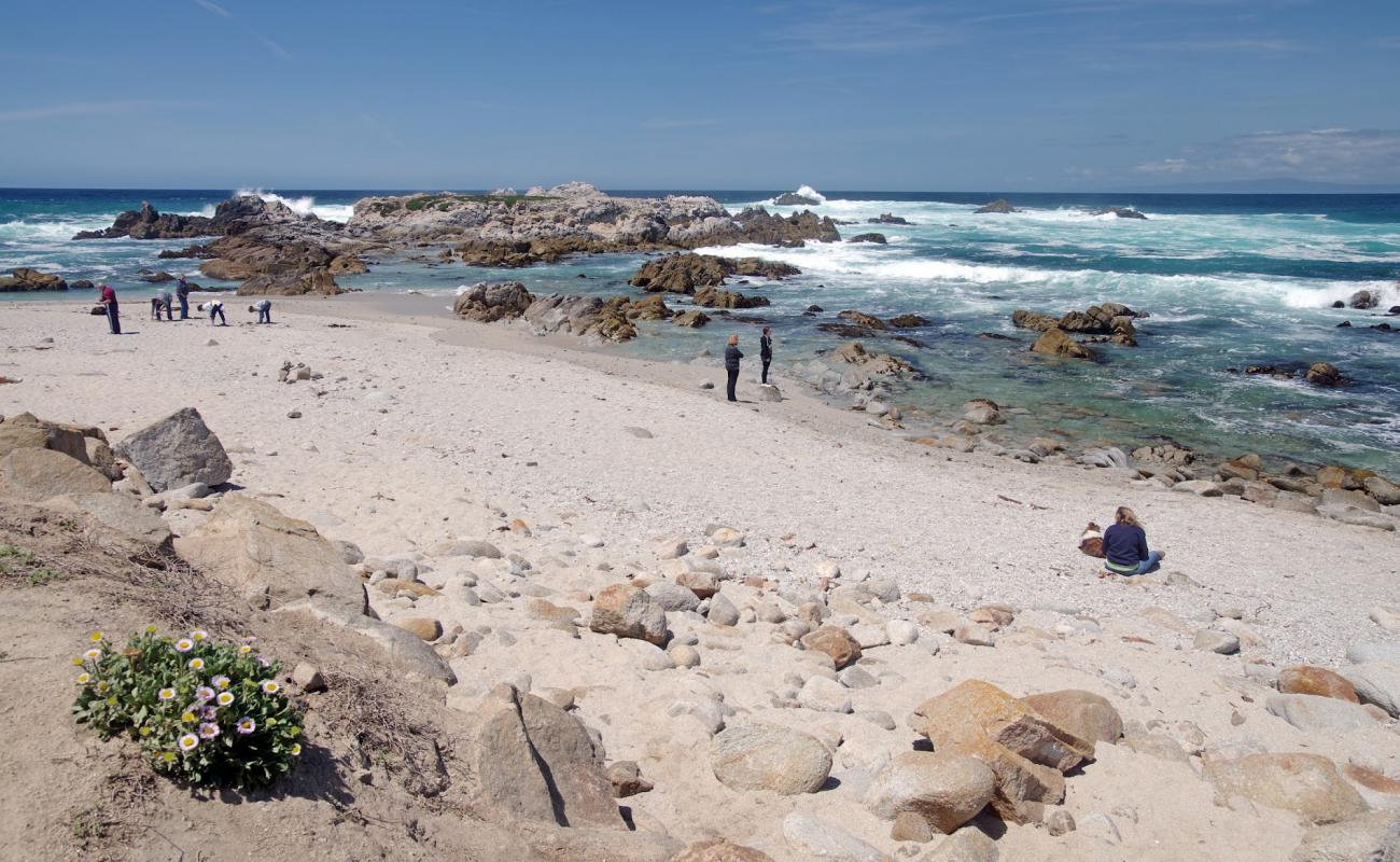 Photo de Point Pinos beach avec sable brillant et rochers de surface