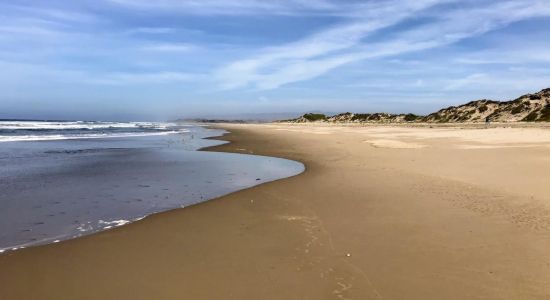 Zmudowski Beach