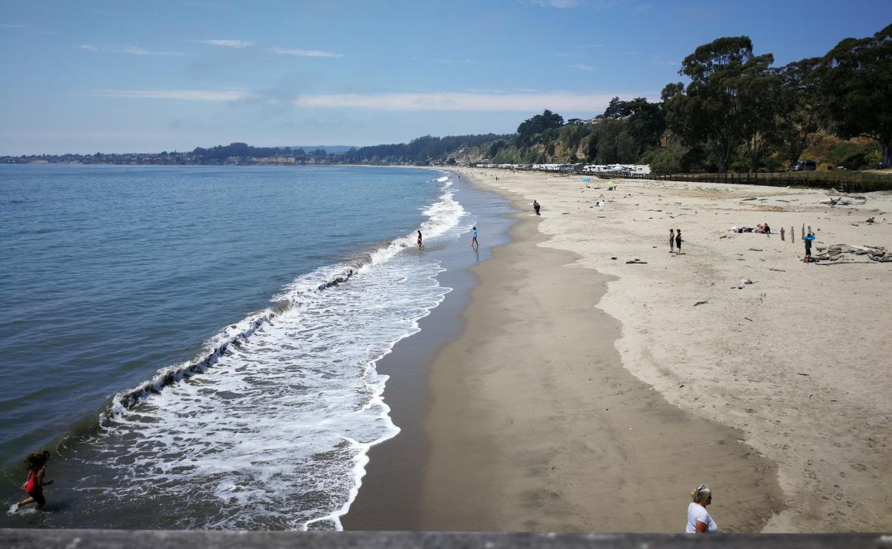 Photo de Seacliff Beach avec sable lumineux de surface