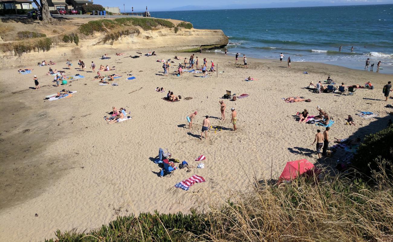 Photo de Sunny Cove Beach avec sable fin et lumineux de surface