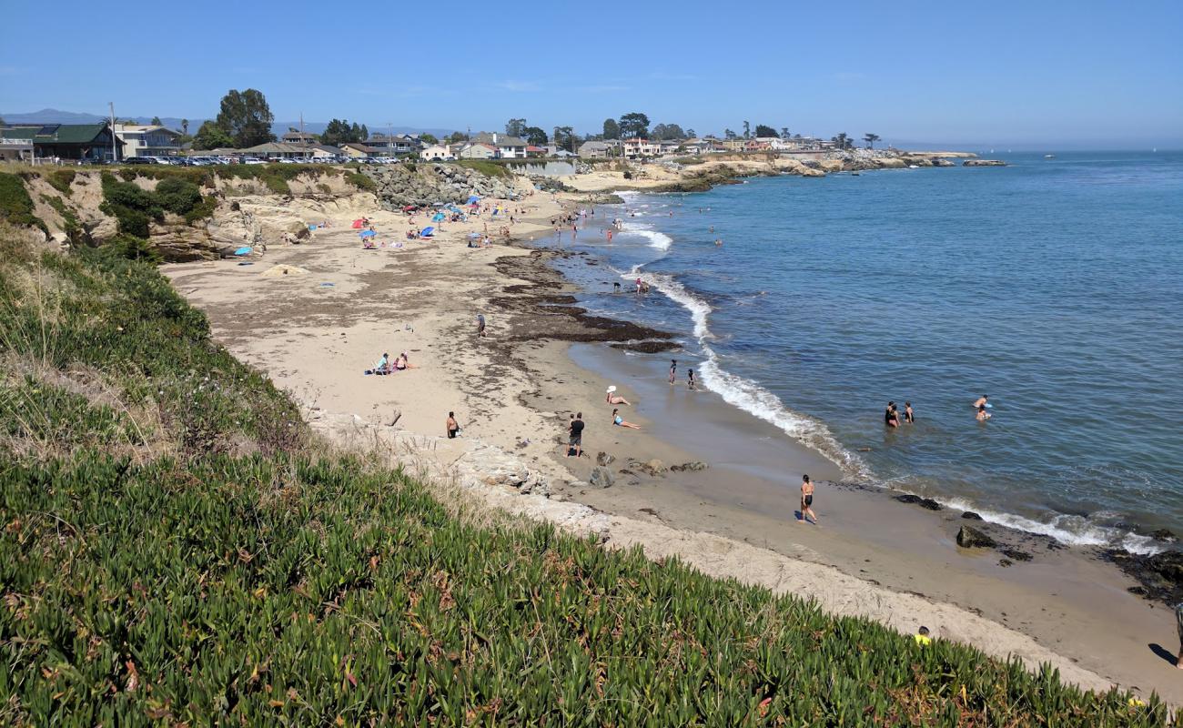 Photo de Mitchell's Cove Beach avec sable lumineux de surface