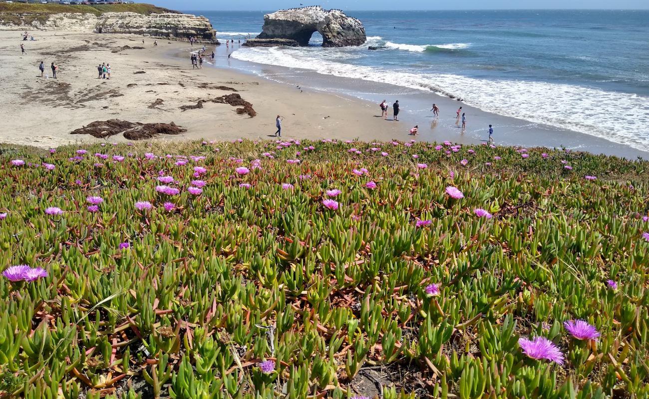 Photo de Natural Bridges Beach avec sable beige de surface