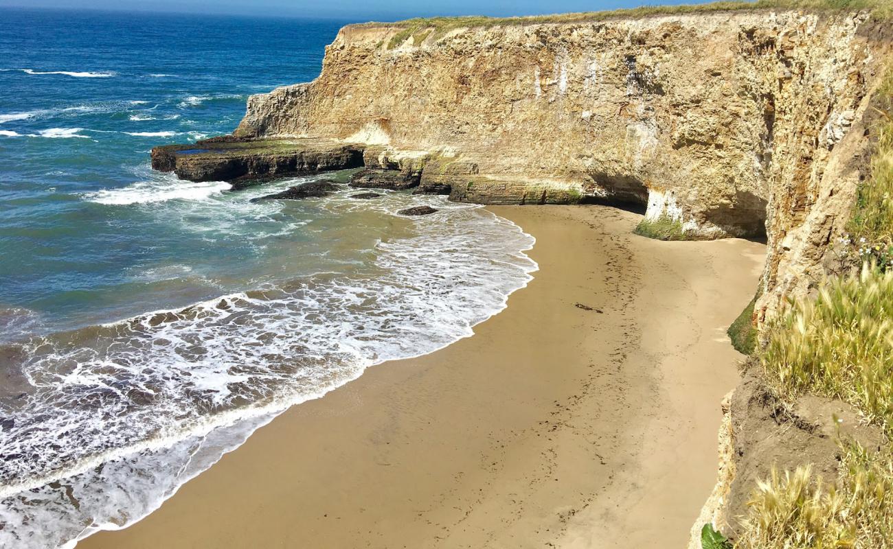 Photo de Davenport Beach avec caillou fin clair de surface