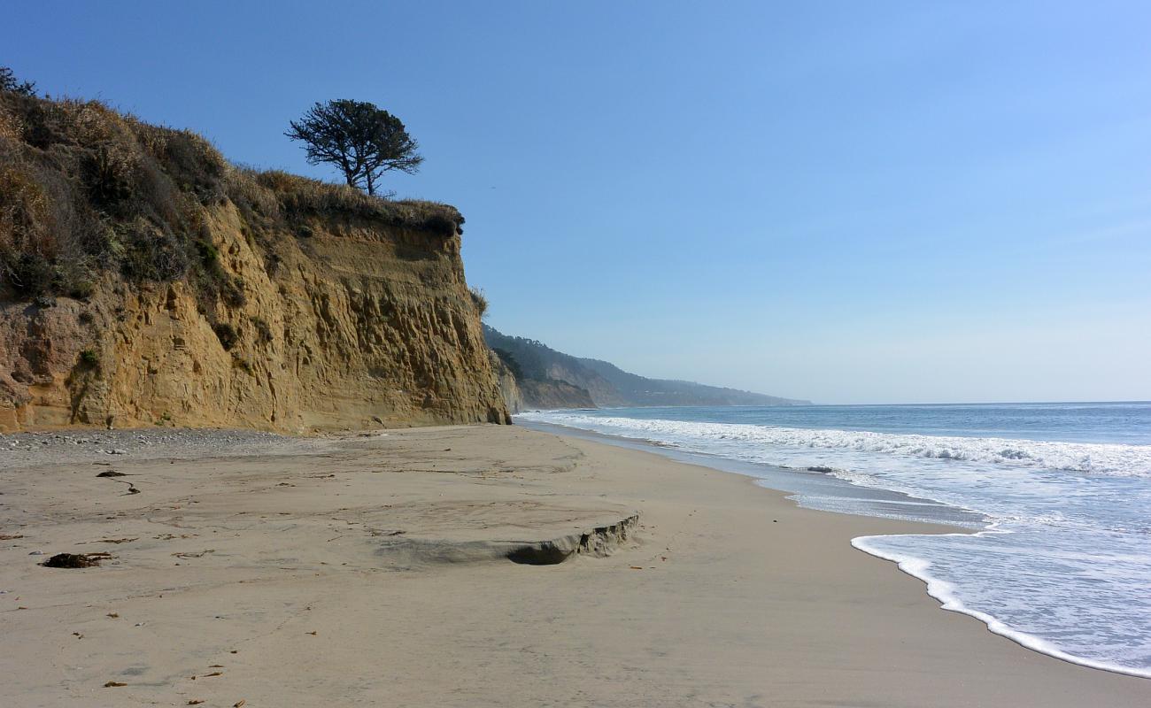 Photo de Cove Beach avec sable beige de surface