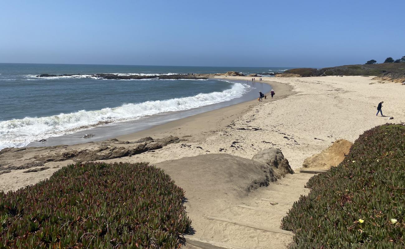 Photo de Bean Hollow Beach avec sable lumineux de surface