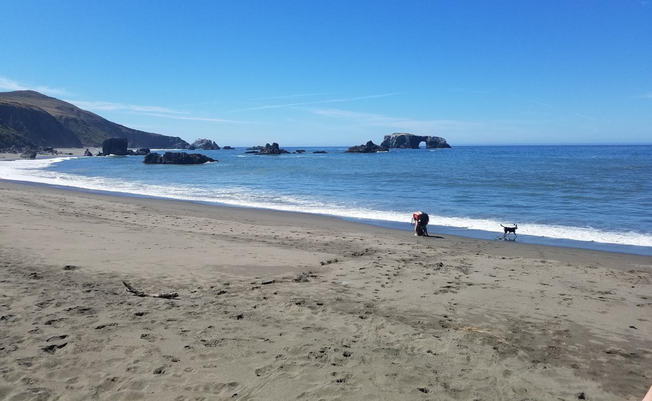 Photo de Goat Rock Beach avec sable beige de surface