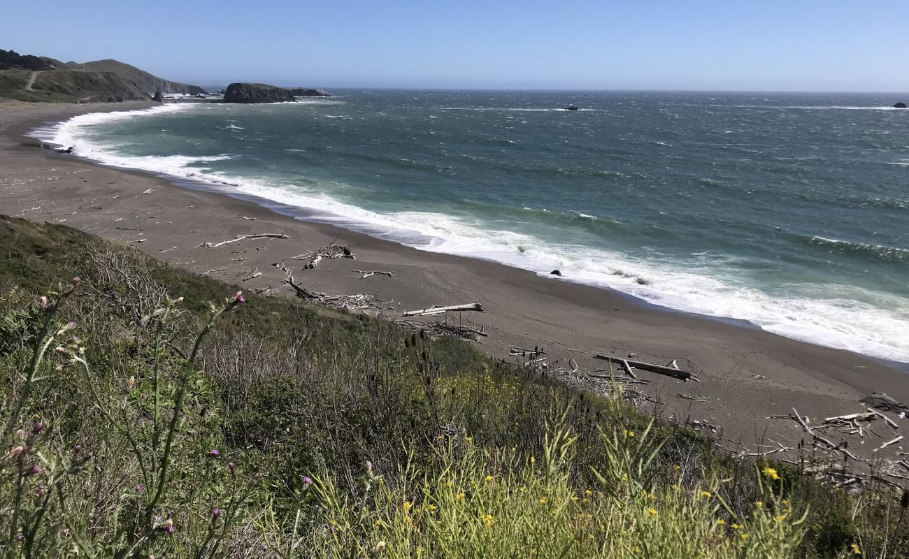 Photo de Jenner Beach avec sable lumineux de surface