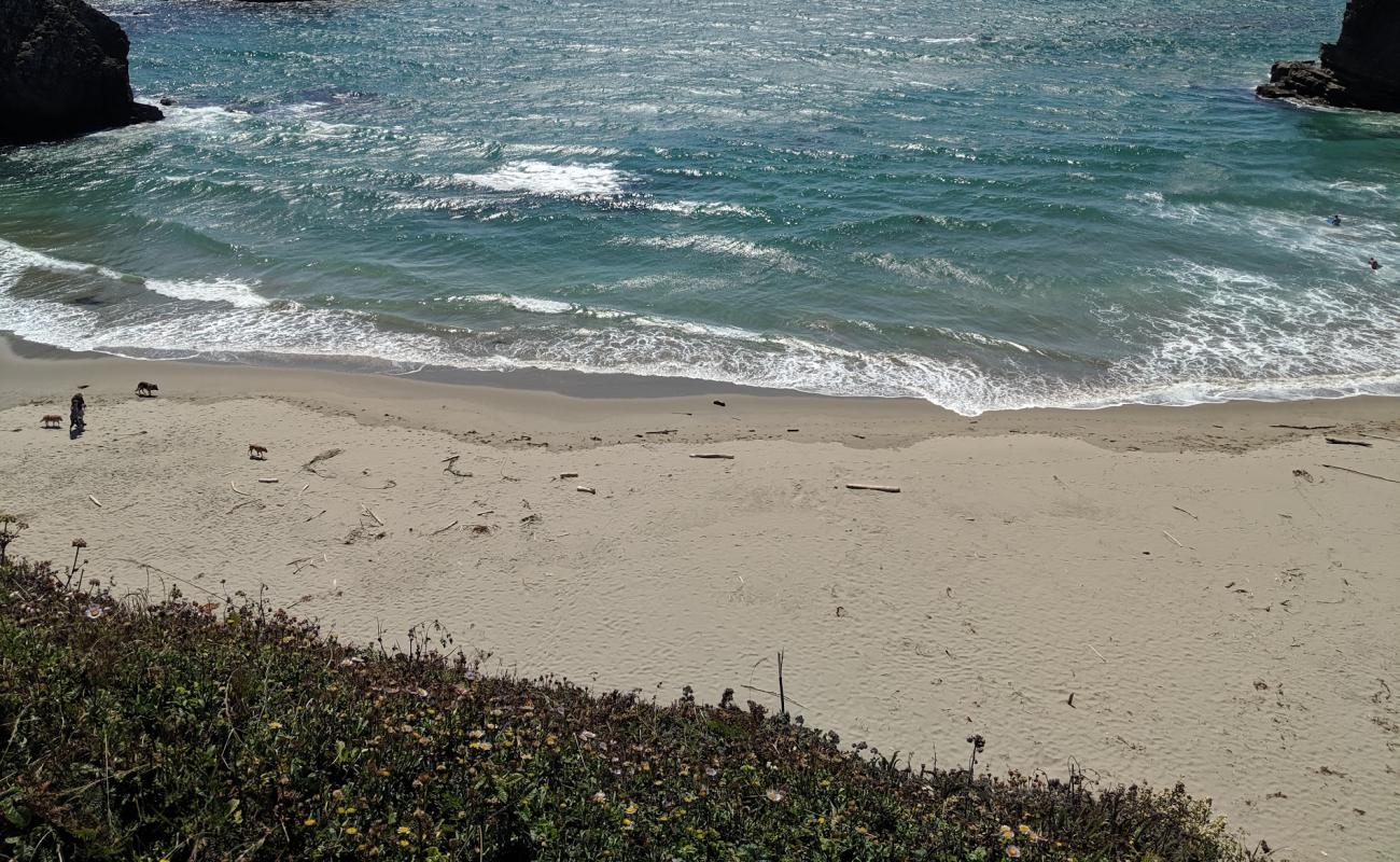 Photo de Cooks Beach avec sable beige de surface