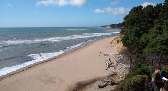 Bowling Ball Beach