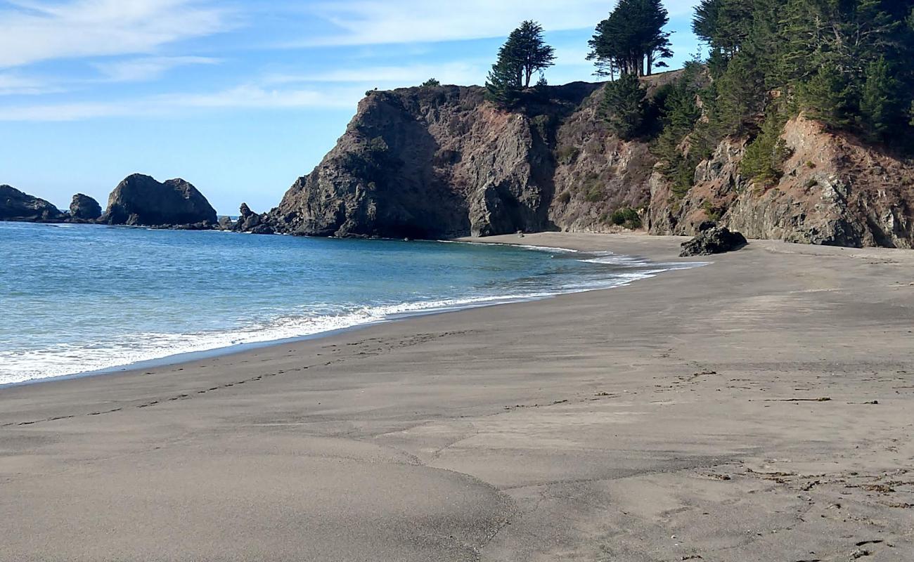 Photo de Navarro Beach avec sable lumineux de surface