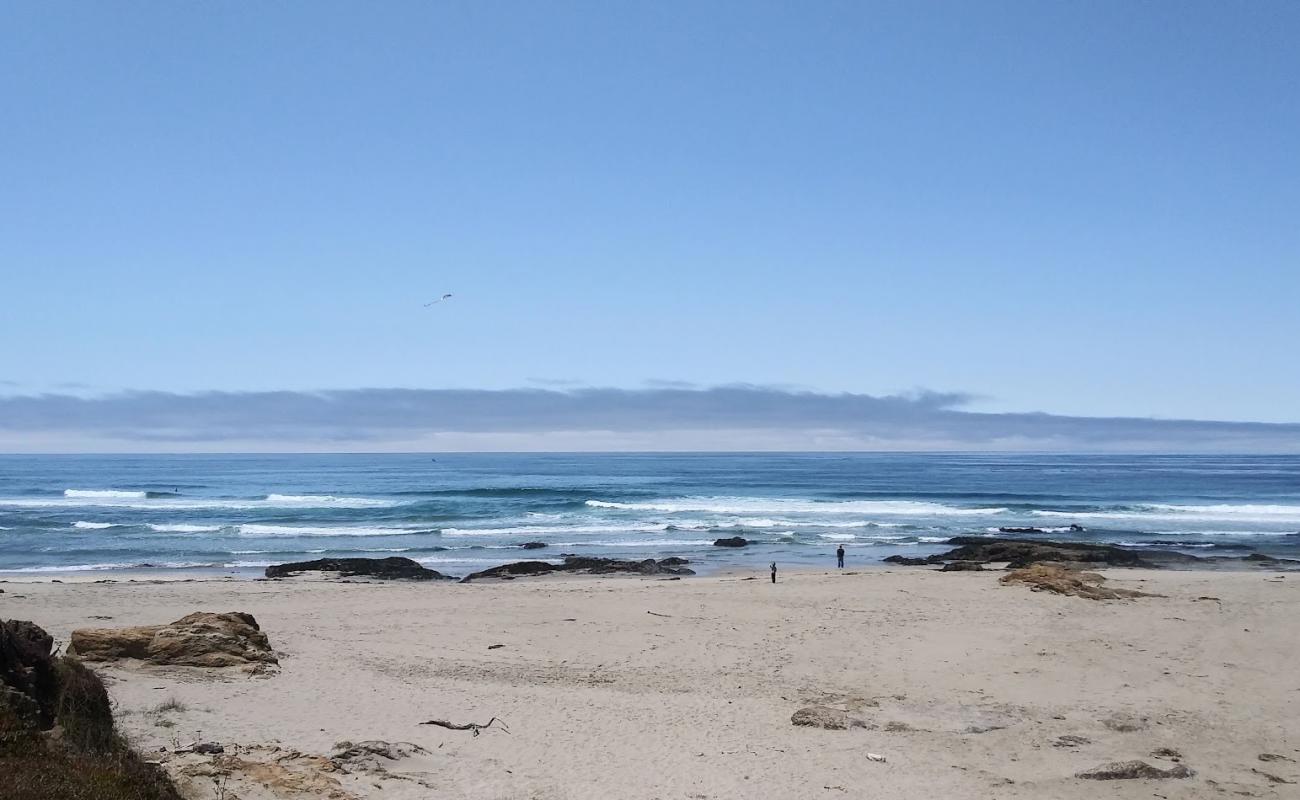 Photo de Virgin Creek Beach avec sable brillant et rochers de surface