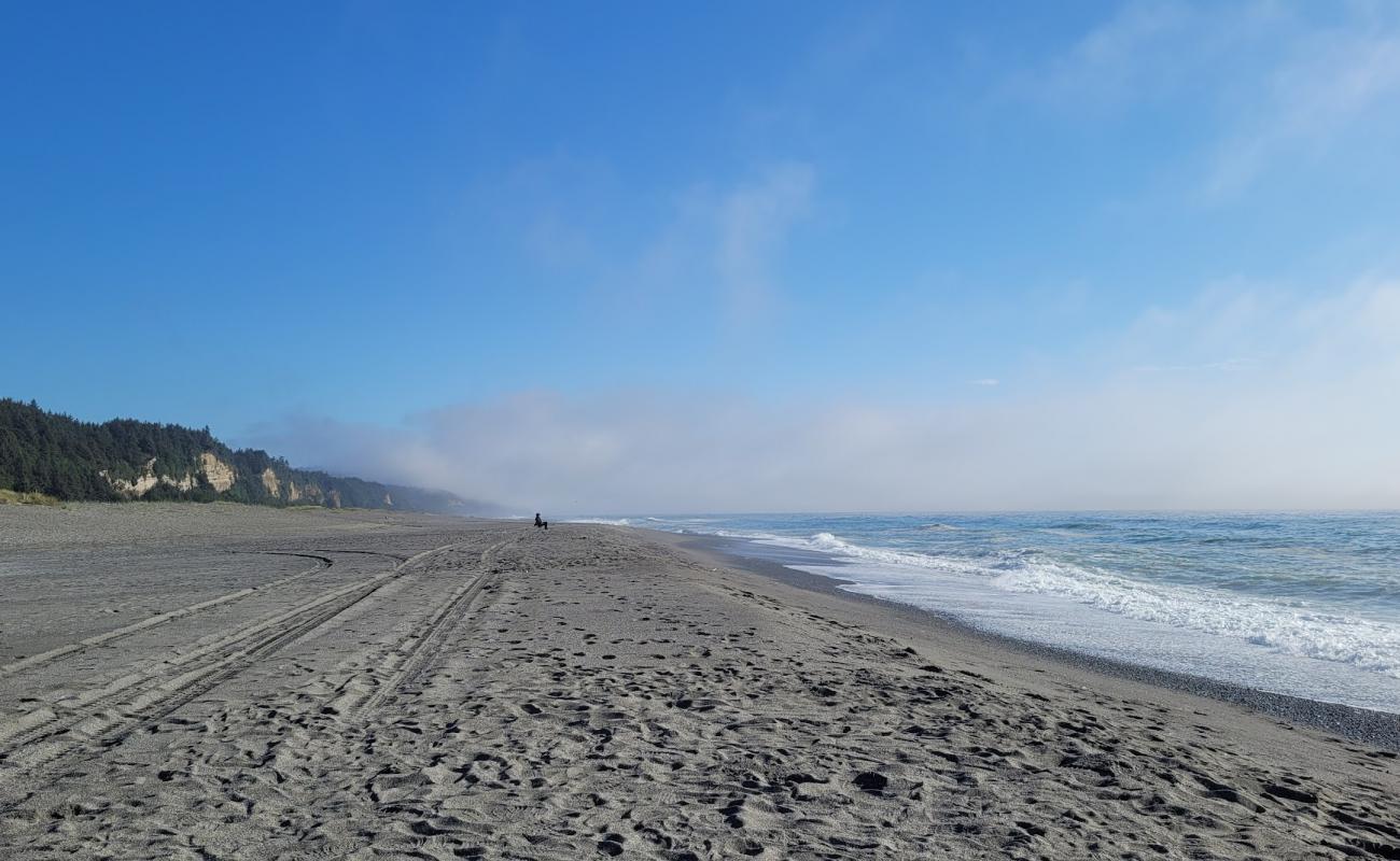 Photo de Gold Bluffs Beach avec sable lumineux de surface