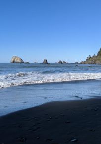 False Klamath