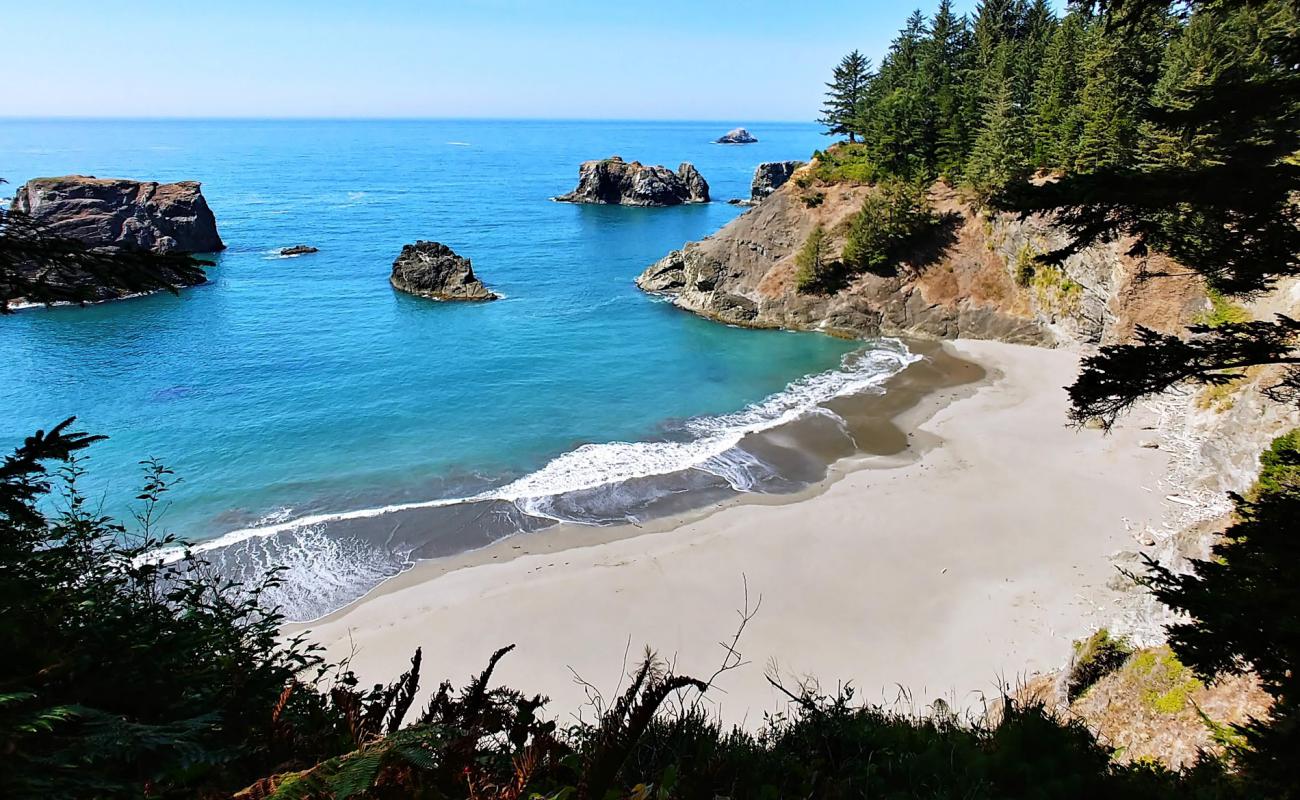 Photo de Secret Beach Oregon avec sable gris de surface