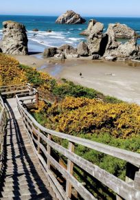 Bandon