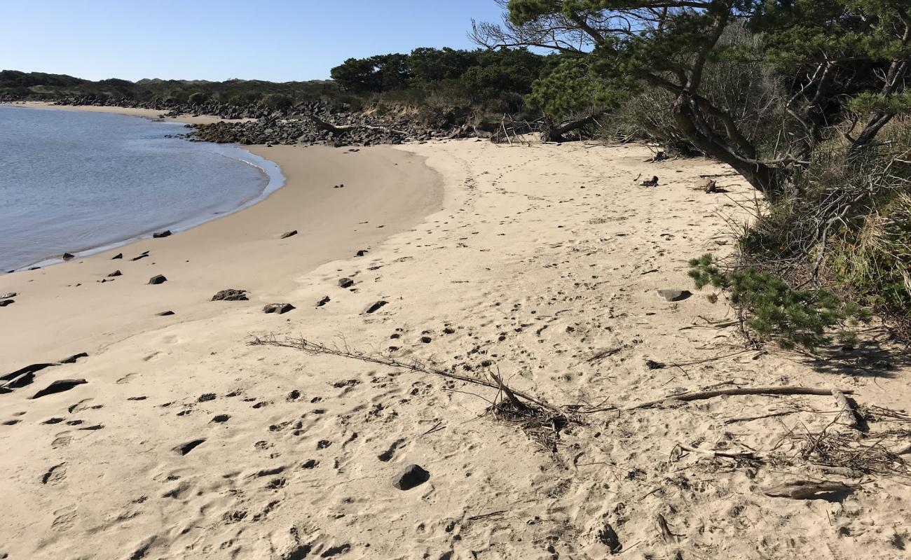 Photo de South Jetty Beach II avec sable beige & pierres de surface