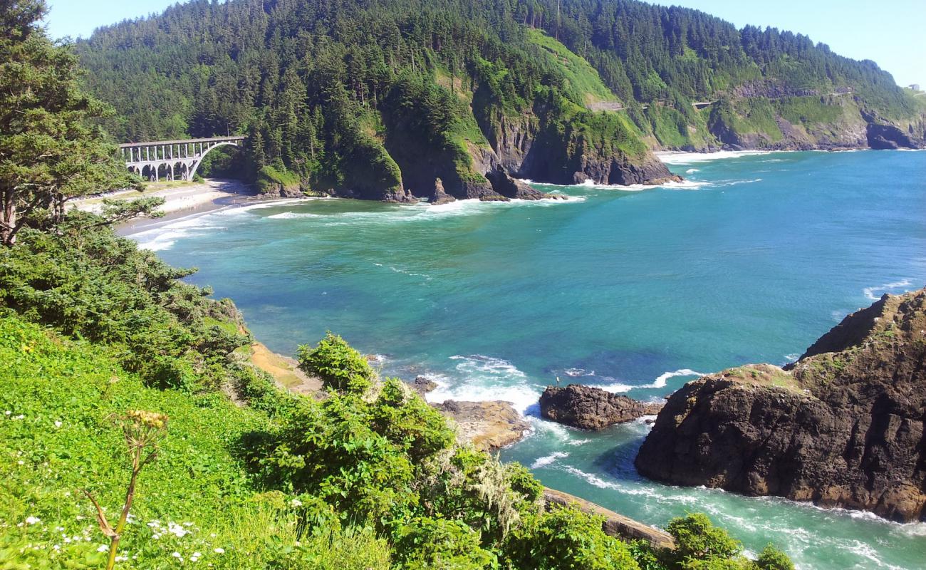 Photo de Heceta Head Beach avec sable clair avec caillou de surface