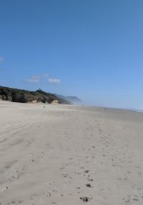 Tillicum Beach