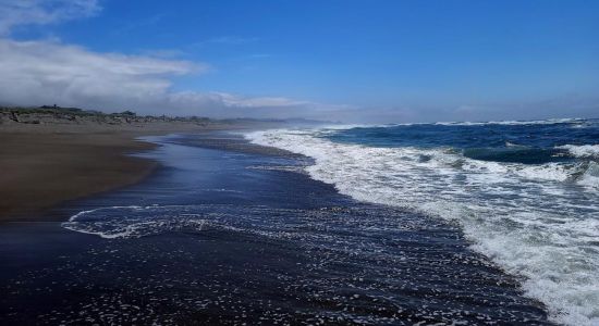 Salishan Beach