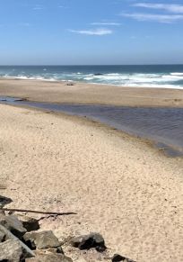 Lincoln City
