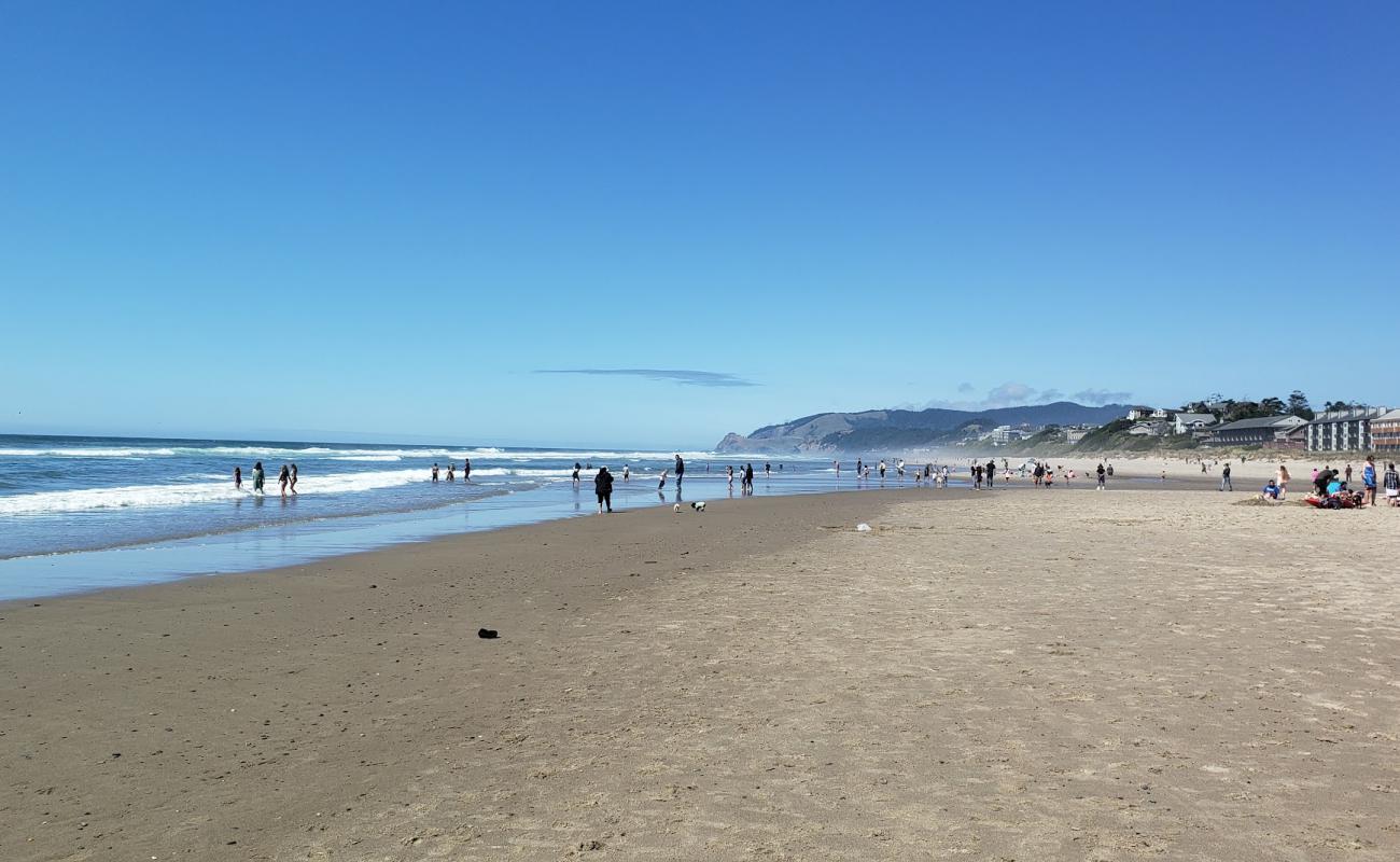 Photo de D River Beach avec sable fin et lumineux de surface