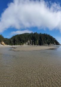 Manzanita
