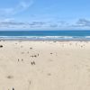 Seaside Beach Oregon