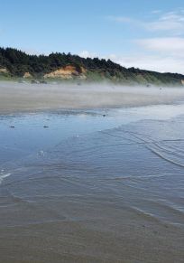 Ocean Grove