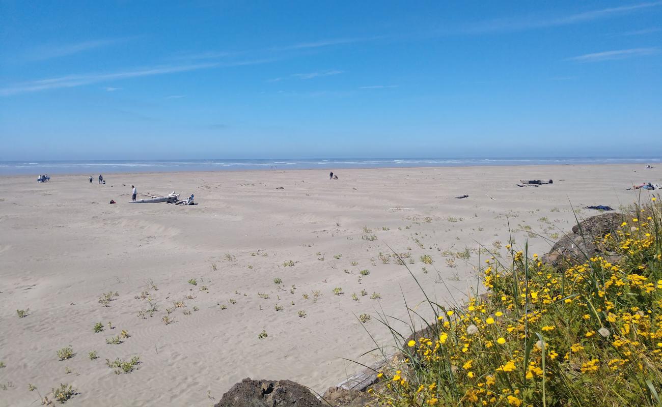 Photo de Pacific Beach avec sable beige de surface
