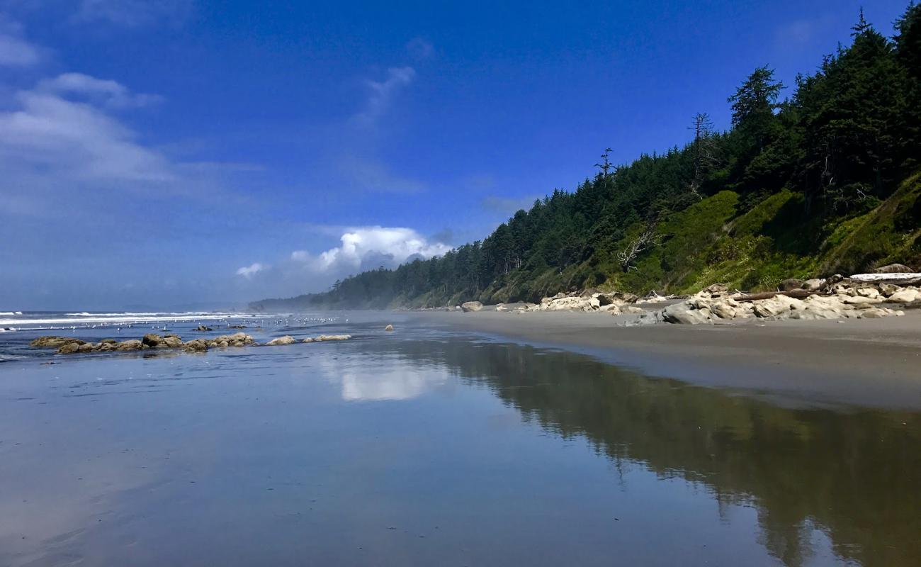 Photo de Ruby Beach avec sable gris avec caillou de surface