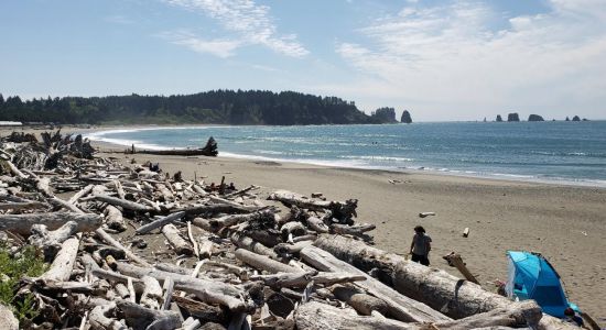 First Beach Quileute Res.