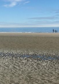 Ozette