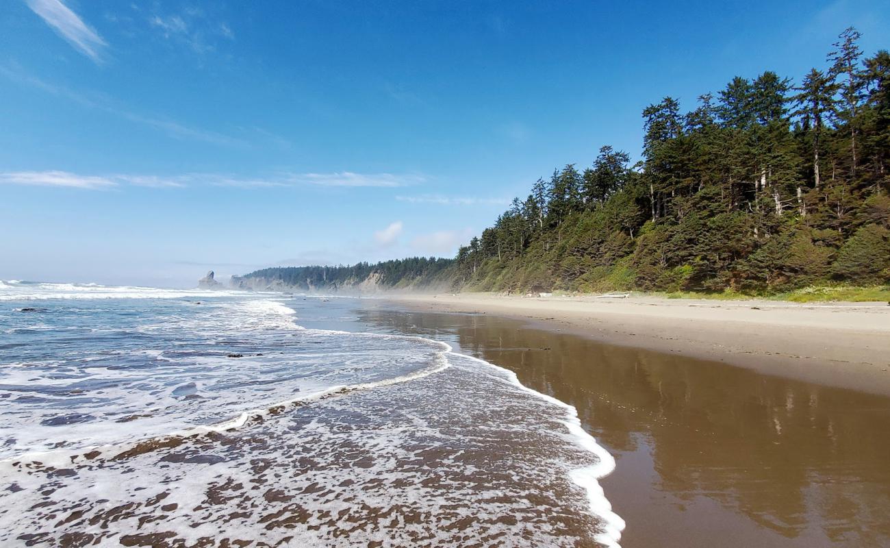 Photo de Shi Shi Beach avec sable beige de surface