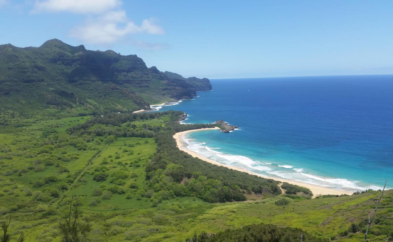 Photo de Kipu Kai Beach avec sable fin et lumineux de surface