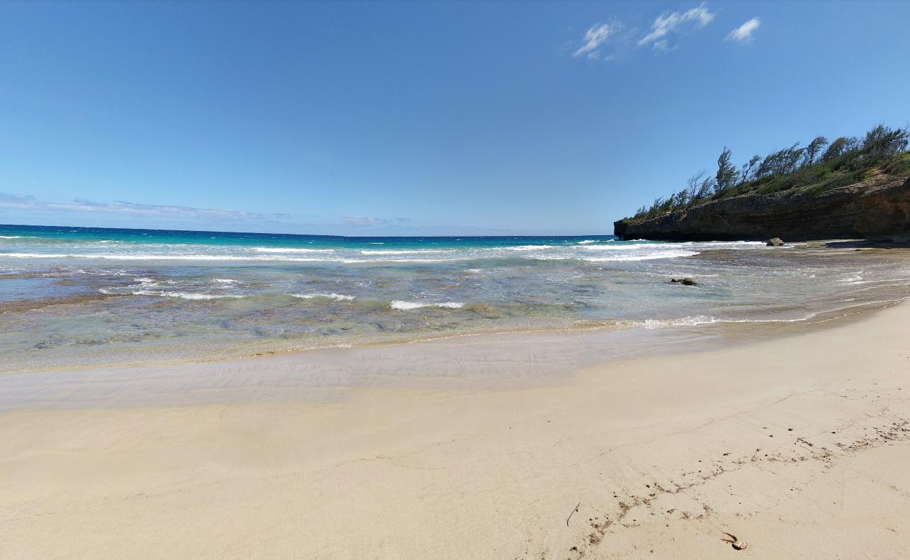 Photo de Ha'ula Beach zone sauvage