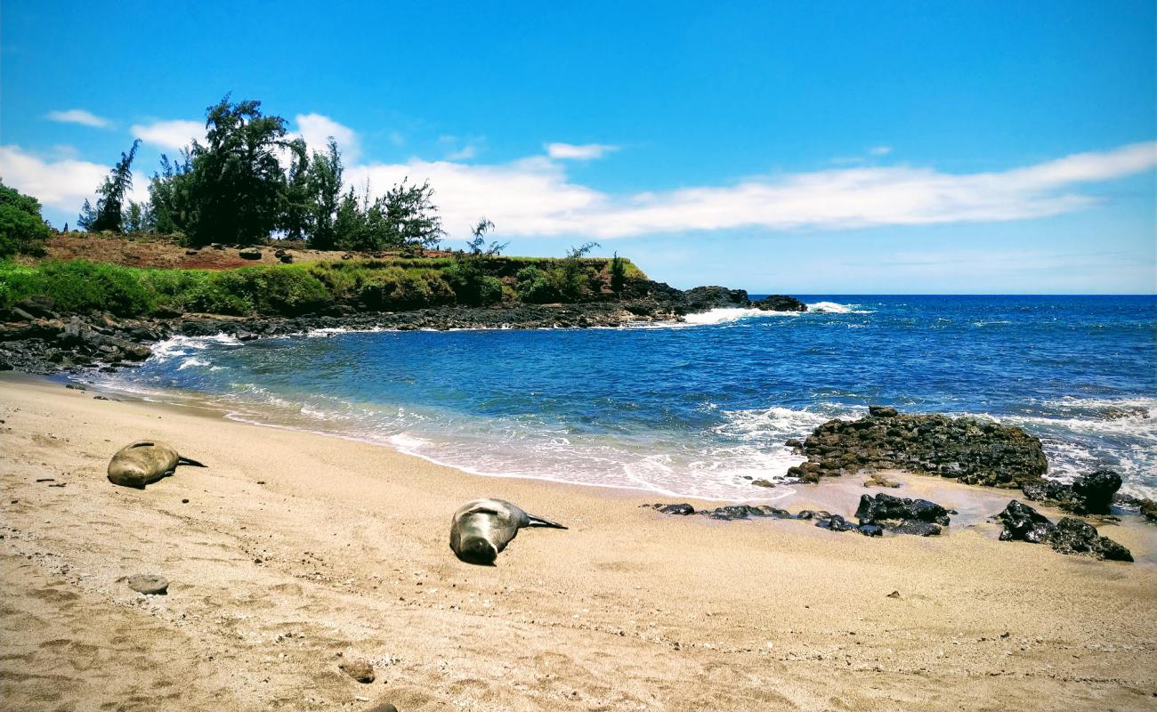 Photo de Glass Beach avec sable brillant et rochers de surface