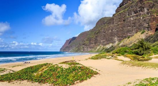 Polihale State Beach