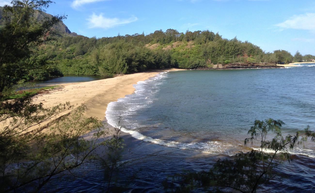 Photo de Wainiha Beach avec sable lumineux de surface