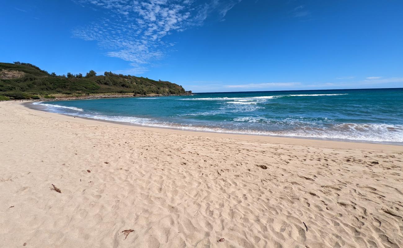 Photo de Rock Quarry Beach avec sable lumineux de surface