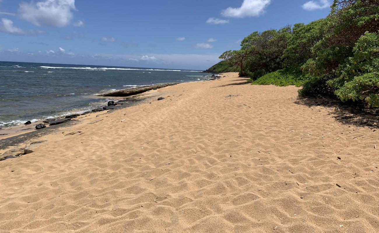 Photo de Larson's Beach avec sable beige & pierres de surface