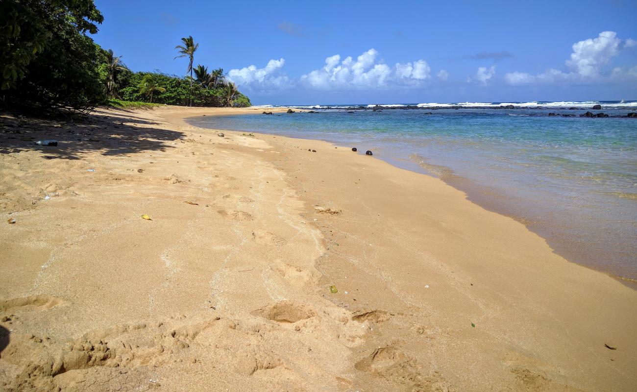 Photo de Papa'a Bay Beach avec sable brillant et rochers de surface