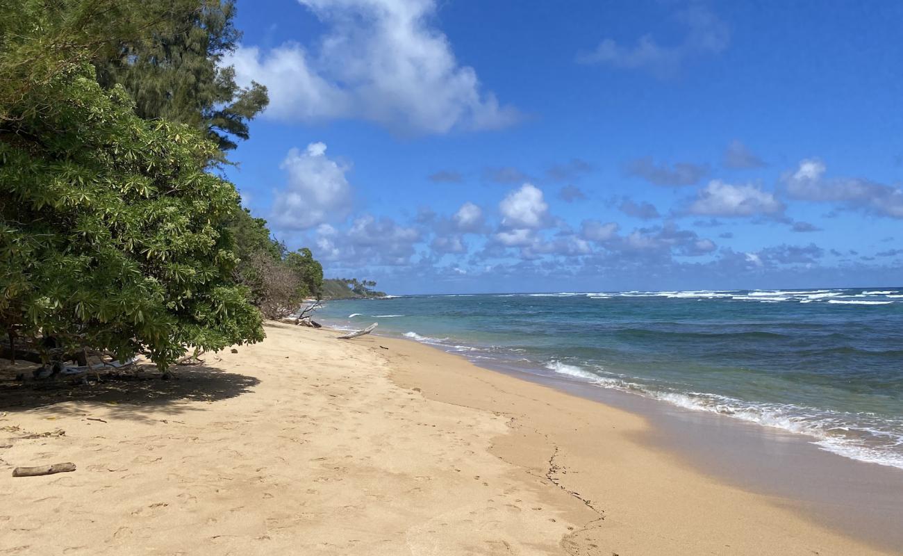 Photo de Anahola Beach II avec sable lumineux de surface