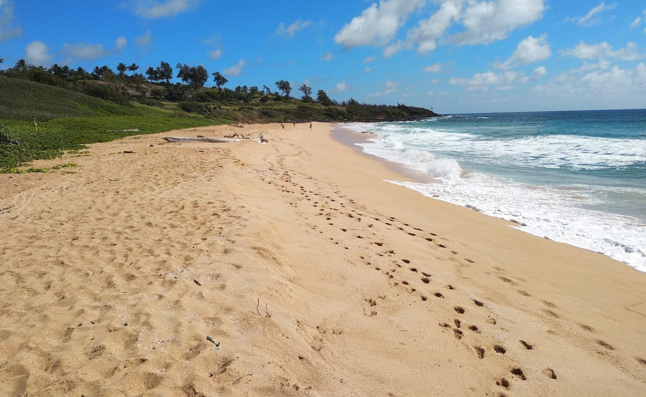 Photo de Paliku Beach avec sable lumineux de surface