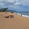 Haleiwa Alii Beach