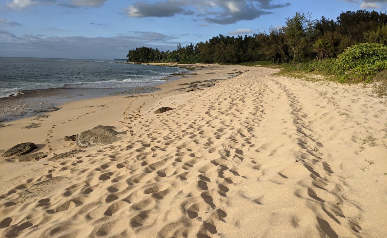 Photo de Kawailoa Beach avec sable lumineux de surface